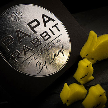Papa Rabbit Hits the Big Time