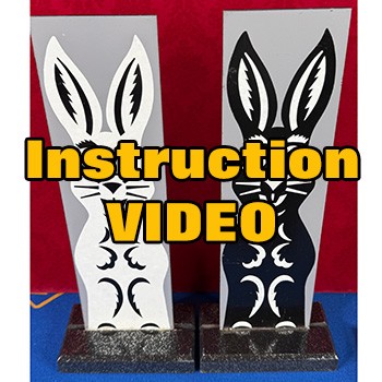 EXCLUSIVE ONLINE VIDEO INSTRUCTION! 